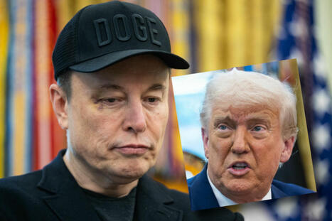 Trump: Schmeißt er Elon Musk aus den USA raus? Abschiebung wird Thema | Kompass-Aktuell | Scoop.it