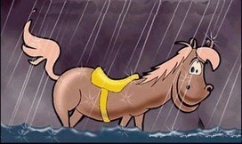 Origem de algumas Express&otilde;es Idiom&aacute;ticas (portugu&ecirc;s) | APOIO AO ESTUDO | Scoop.it