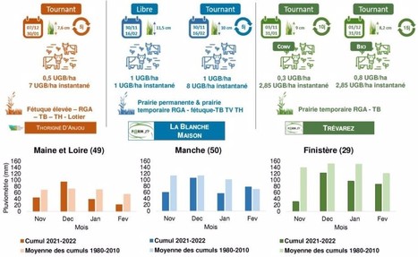 Trois fermes expé de l'Ouest ont testé le pâturage hivernal et les résultats sont plutôt positifs | Lait de Normandie... et d'ailleurs | Scoop.it