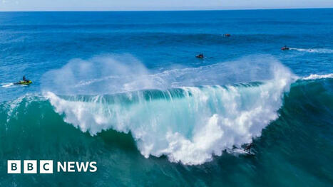 Could taking carbon out of the sea cool down the planet? | Coastal Restoration | Scoop.it