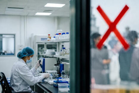 China Enforces Decree No. 818 on Cell Therapies | Francois Liu a publi&eacute; du contenu sur ce sujet | Immunology and Biotherapies | Scoop.it