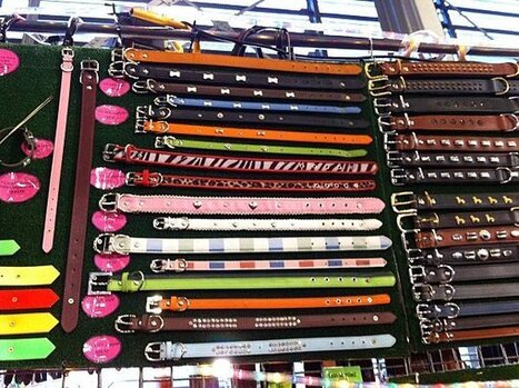 Salon du Cheva! | Salon du Cheval | Scoop.it