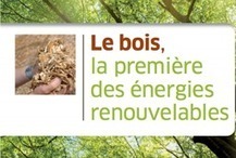Le bois, la première des énergies renouvelables | Build Green, pour un habitat écologique | Scoop.it