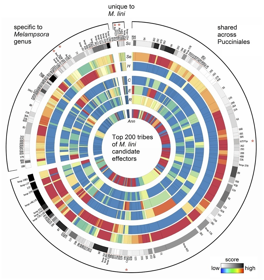 Frontiers Plant Science The genome sequence an...