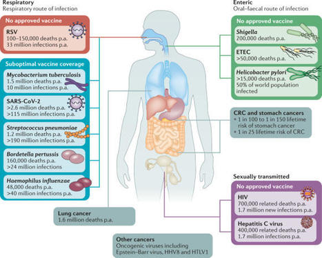 Mucosal vaccines — fortifying the frontiers | Nature Reviews Immunology | Mucosal Immunity | Scoop.it