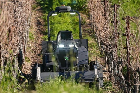 Un robot &eacute;lectrique autonome au vignoble est d&eacute;voil&eacute; - Vitisph&egrave;re | Pour innover en agriculture | Scoop.it