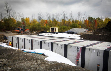 Ottawa tarde à autoriser des travaux de préservation d’un habitat de la rainette | Ils parlent de nous ! | Scoop.it