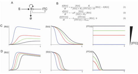 Bacterial degradation of a plant toxin and nutrient competition with commensals trade off to constrain pathogen growth | mSys | RMH | Scoop.it