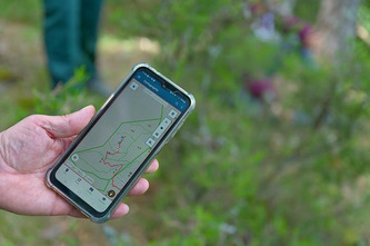 For&ecirc;ts communales : le Portail des collectivit&eacute;s, un service en ligne con&ccedil;u pour les &eacute;lus | Environnement - D&eacute;veloppement durable - Climat | Scoop.it