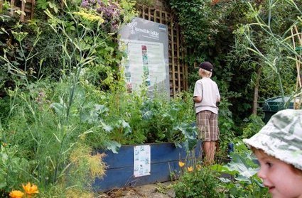 La guerre des graines est d&eacute;clar&eacute;e : plantez partout, partagez ! | Innovation sociale | Scoop.it