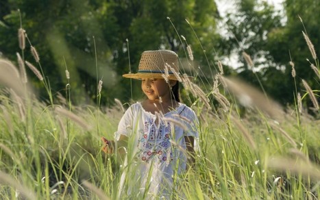 The Nature Conservancy Awards Grants to 50 Schools Across The Nation through 'Nature Works Everywhere' Program | Rainforest CLASSROOM | Scoop.it