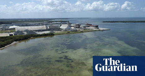 ‘No community should suffer this’: Florida’s toxic breach was decades in the making | Florida | The Guardian / 11.04.2021 | Pollution accidentelle des eaux par produits chimiques | Scoop.it