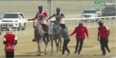 Chevalmag - Endurance : 12 mesures contre les dérives aux Emirats Arabes Unis | Cheval et sport | Scoop.it