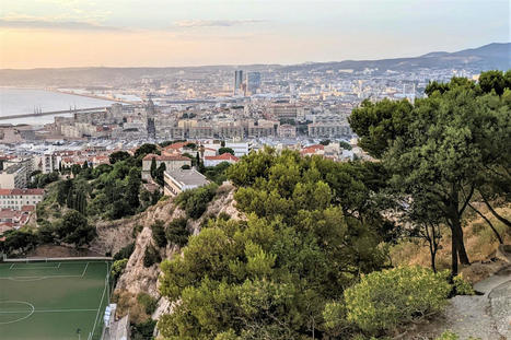 La Ville de Marseille veut planter 200 000 arbres d'ici 2026 | Regards croisés sur la transition écologique | Scoop.it