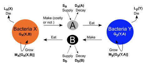 Generalized dynamics of cooperating bacteria | Brveco | RMH | Scoop.it