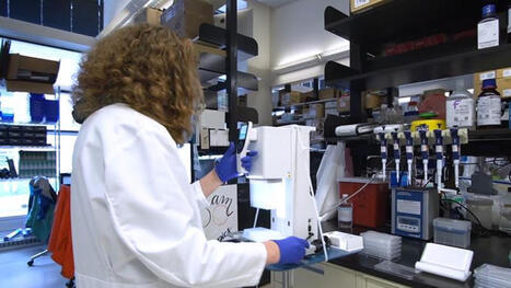 Garbage In, Garbage Out: Scientific Publishing Faces Pandemic-Like Spread of Fake Studies | The New York Sun | Retraction Watch | Notebook or My Personal Learning Network | Scoop.it