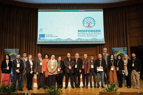 MEDFORGEN launched to protect FOREST genetic resources across the MEDITERRANEAN | CIHEAM Press Review | Scoop.it