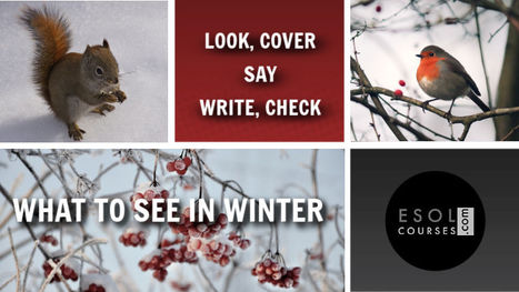 What to See in Winter - Look, Say, Cover, Write, Check | English Word Power | Scoop.it