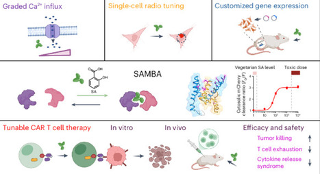 Repurposing salicylic acid as a versatile inducer of proximity | Ncb | RMH | Scoop.it
