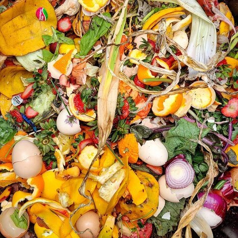 NYC’s Composting Rates Are Low. A Sustainability Expert Thinks AI Will Offer a Solution. Eventually. – | Industry 411 - Waste Management | Scoop.it