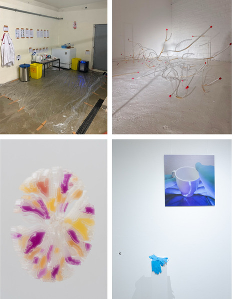 Bioart and biosafety: navigating &lsquo;living art&rsquo; within the European regulatory framework | Tin | RMH | Scoop.it