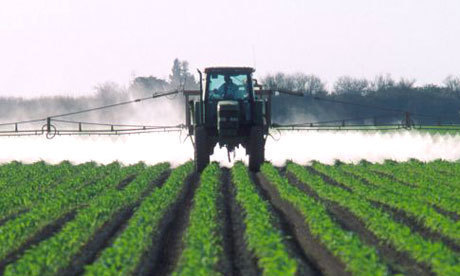Développement de « pesticides intelligents » par une équipe de la province du Hefei | Phytosanitaires et pesticides | Scoop.it