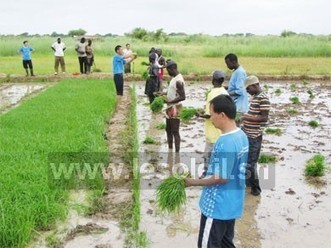 La FAO et le Sénégal, un partenariat fructueux et durable au profit du monde rural | Questions de développement ... | Scoop.it