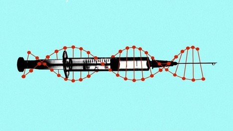 What the MTHFR Gene Means for Vaccines | Hésitations Vaccinales: Observatoire HESIVAXs | Scoop.it
