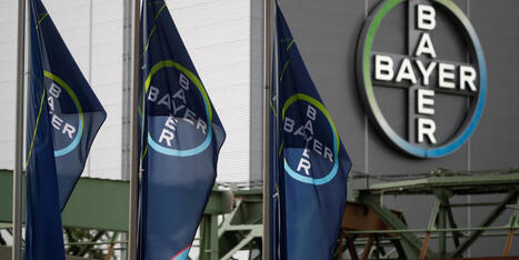 Bayer to Buy Eye-Drug Developer Perfuse Therapeutics for Up to $2.45 Billion | Gouvernance - Veille quotidienne | Scoop.it
