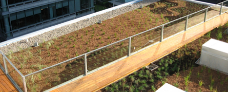 Les toitures végétalisées se font intelligentes | InnovCity | Build Green, pour un habitat écologique | Scoop.it