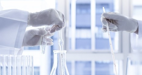 Reach, le règlement européen sur la chimie qui angoisse les PME | Les Échos | Prévention du risque chimique | Scoop.it
