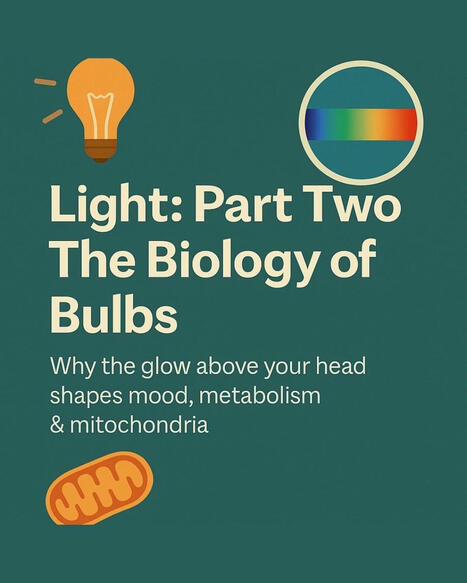 Light: Part Two — The Biology of Bulbs (TL;DR version) When incandescents disappeared, we didn’t just lose warmth. We lost the red and infrared wavelengths that signalled repair to our cells. LEDs... | LIGHTING-Innovation-Design | Scoop.it