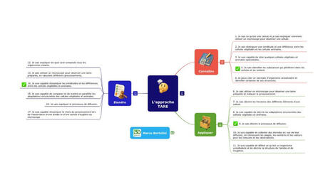 Une &eacute;valuation formative avec une carte mentale | Revolution in Education | Scoop.it
