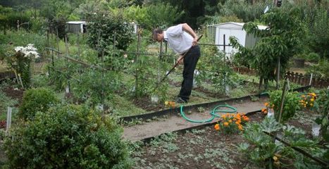 Ces Toulousains qui partagent leurs jardins | Toulouse La Ville Rose | Scoop.it