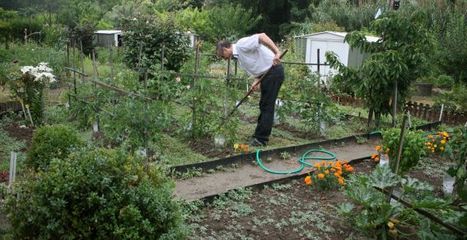 Ces Toulousains qui partagent leurs jardins | Immobilier | Scoop.it