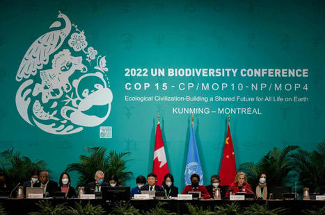 Blocage de la COP15 biodiversit&eacute; : &laquo; L&rsquo;&eacute;tat des discussions sur la question du s&eacute;quen&ccedil;age g&eacute;n&eacute;tique est navrant &raquo; | EntomoNews | Scoop.it