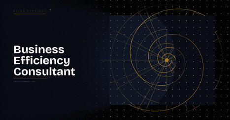 Business Efficiency Consultant | Strategy and Analysis | Scoop.it