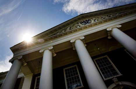Harvard Seeks Sale of South America Timber Holdings | Timberland Investment | Scoop.it