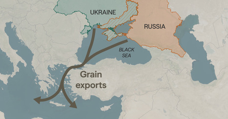 FOOD SECURITY: The new Black Sea grain crisis&nbsp; | ALIMENTATIONS | Scoop.it