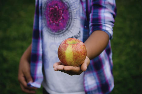 UNCTAD : Brief calls for linking right to food and trade Policy&nbsp; | ALIMENTATIONS | Scoop.it