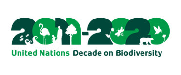 UN Announces Decade on Biodiversity - live more in harmony with nature. Our wellbeing is dependent on the health of our ecosystems. | BIODIVERSITY IS LIFE  &ndash; | Scoop.it