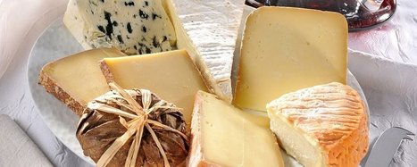 Tentation Fromage, la start up nantaise qui te sert du fromage 2.0 | FOODTECH - food 2.0, news, proxy, strategy, wine&cheese, mkt, new concept, innovation | Scoop.it