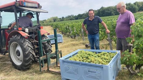 Avec des projets de recrutement en baisse de 5 %, "l&rsquo;ann&eacute;e 2026 va &ecirc;tre compliqu&eacute;e" pour l&rsquo;emploi en Indre-et-Loire | Revue de presse &eacute;conomique du Sud Touraine | Scoop.it
