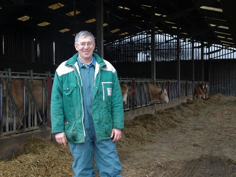 Inquiétude concernant le veau fermier du Lauragais : la coopérative agricole manque d'éleveurs | Actualité Bétail | Scoop.it