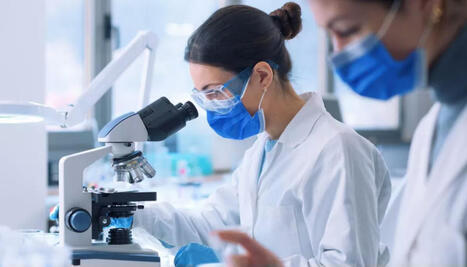 [L'Opinion Indépendante] Deux chercheuses d'Occitanie primées par le Human Frontier Science Program | Les laboratoires du CNRS Occitanie Ouest dans la presse | Scoop.it