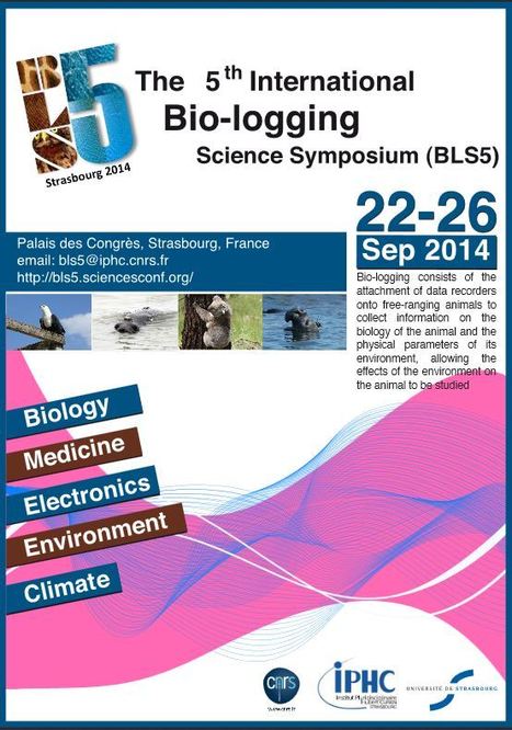5e symposium international sur le bio-logging | Variétés entomologiques | Scoop.it