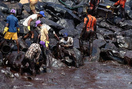 #Environnement. Désastreuse marée noire au sud de l'#Inde | RSE et Développement Durable | Scoop.it