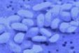 La Nasa d&eacute;couvre une nouvelle forme de vie | Microbiologie | Scoop.it