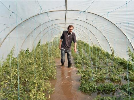 Le #changement #climatique modifie les #crues des #rivi&egrave;res en #Europe | RSE et D&eacute;veloppement Durable | Scoop.it