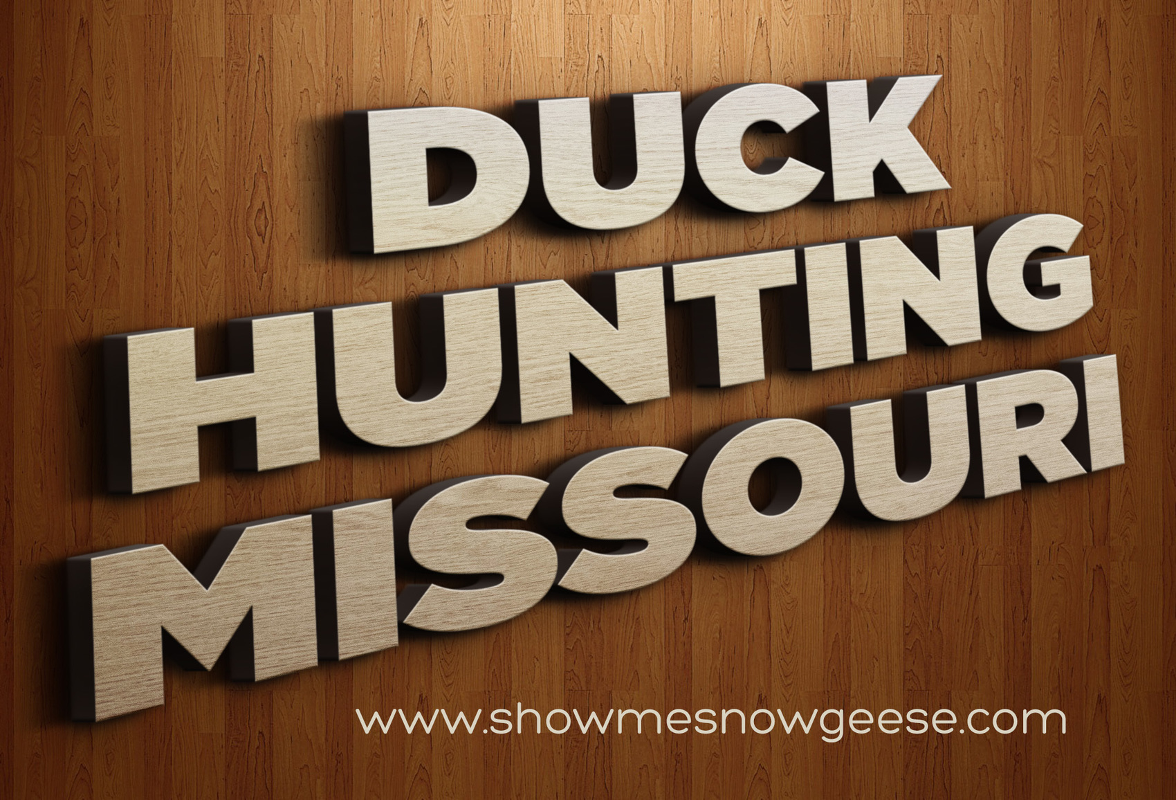 duck-hunting-missouri-duck-hunting-missouri